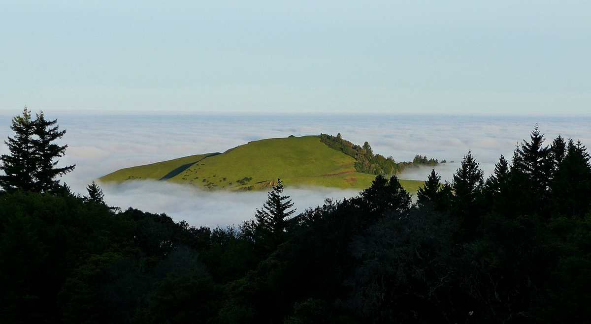 Morning Commute 5-14-2010.JPG