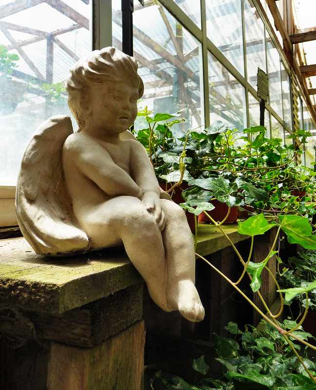 Looking After The Garden 5-22-2010 edit.JPG