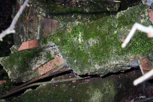 Here is a closer view of the ruins. I would love to know that that structure use to be.