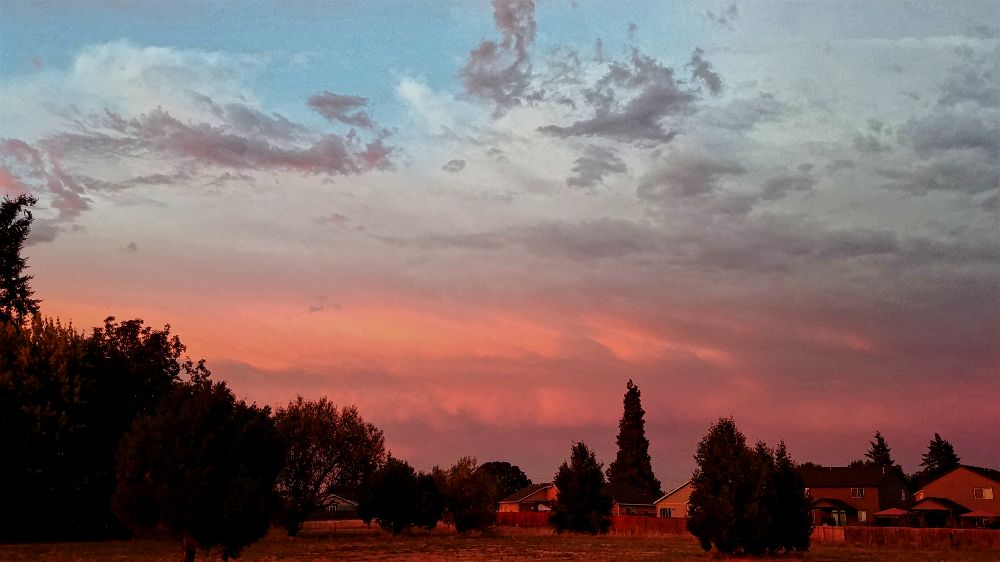 Late Summer Across The Farm.jpg