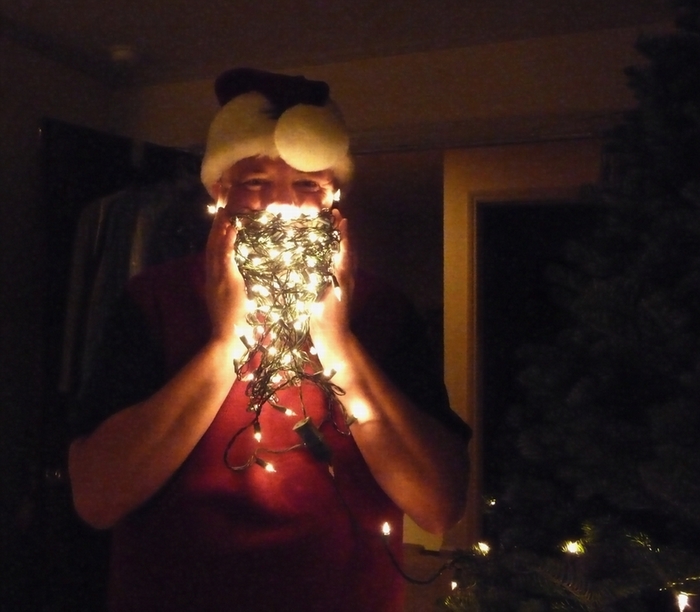 Electric Santa Land 2009.JPG