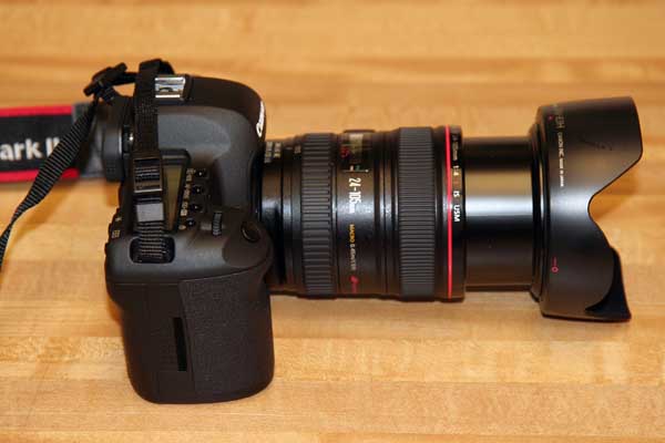 This is a side view.  This is what not eating at restaurants for several months can get you.